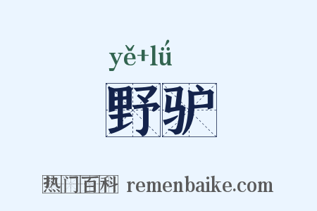 野驴是什么意思的图片